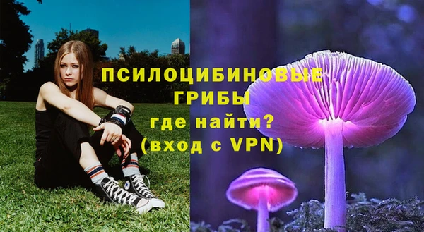 прущие крисы Белокуриха