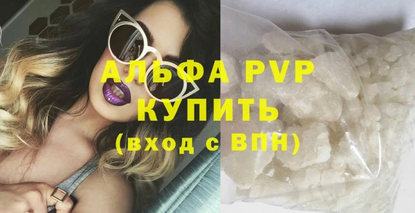прущие крисы Белокуриха